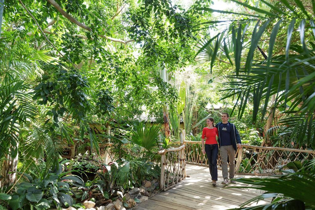 Center Parcs Erperheide Ξενοδοχείο Peer Εξωτερικό φωτογραφία