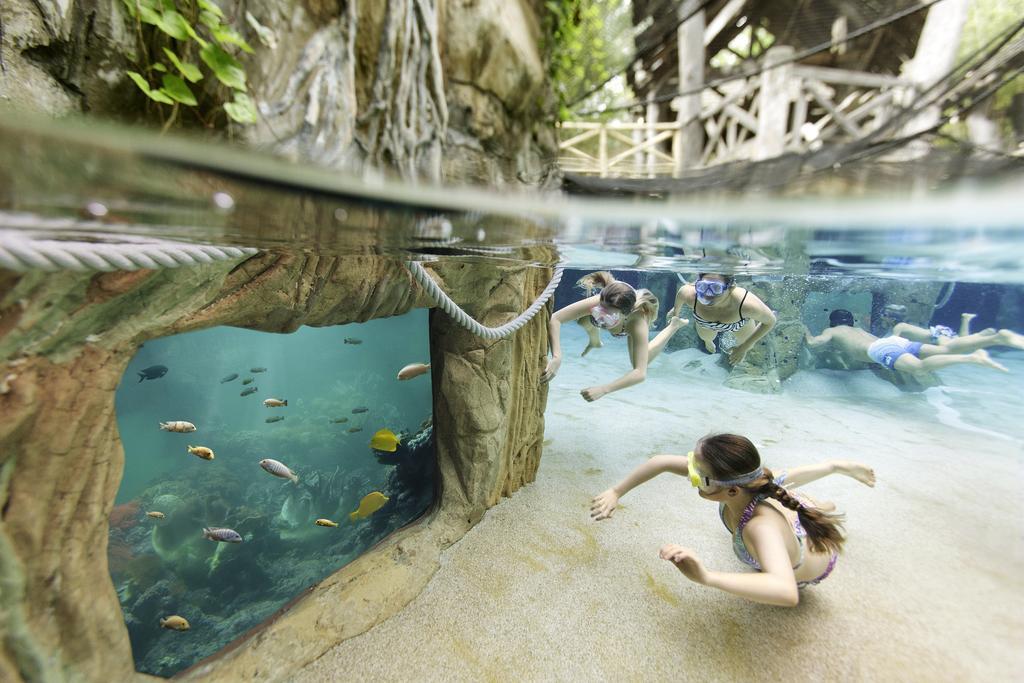 Center Parcs Erperheide Ξενοδοχείο Peer Εξωτερικό φωτογραφία